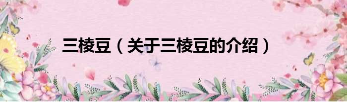三棱豆（关于三棱豆的介绍）
