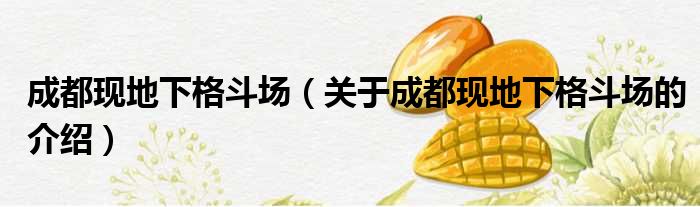 成都现地下格斗场（关于成都现地下格斗场的介绍）