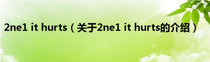 2ne1 it hurts（关于2ne1 it hurts的介绍）