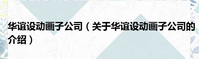 华谊设动画子公司（关于华谊设动画子公司的介绍）