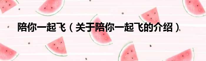 陪你一起飞（关于陪你一起飞的介绍）