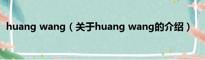 huang wang（关于huang wang的介绍）