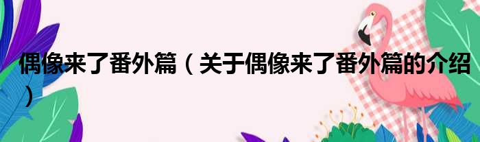 偶像来了番外篇（关于偶像来了番外篇的介绍）
