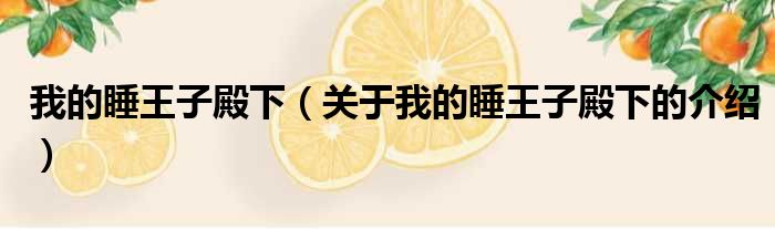 我的睡王子殿下（关于我的睡王子殿下的介绍）
