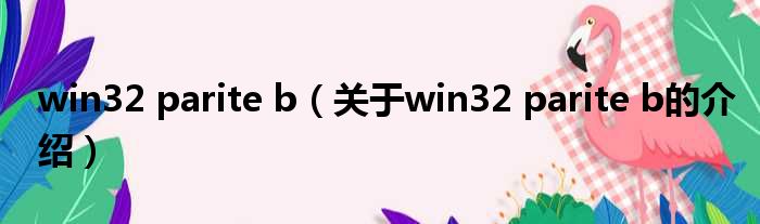 win32 parite b（关于win32 parite b的介绍）