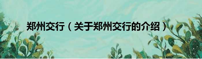 郑州交行（关于郑州交行的介绍）