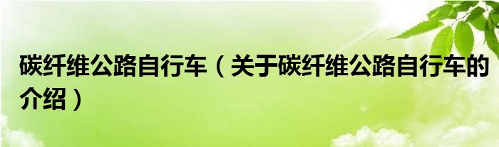 碳纤维公路自行车（关于碳纤维公路自行车的介绍）