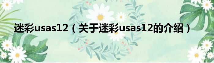 迷彩usas12（关于迷彩usas12的介绍）