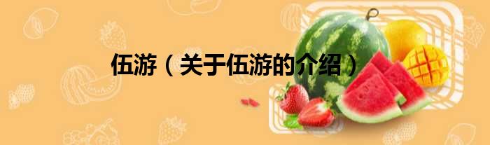 伍游（关于伍游的介绍）