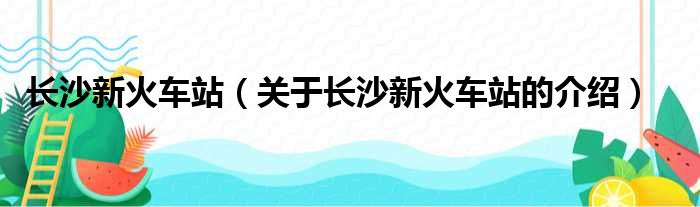 长沙新火车站（关于长沙新火车站的介绍）