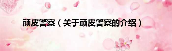 顽皮警察（关于顽皮警察的介绍）