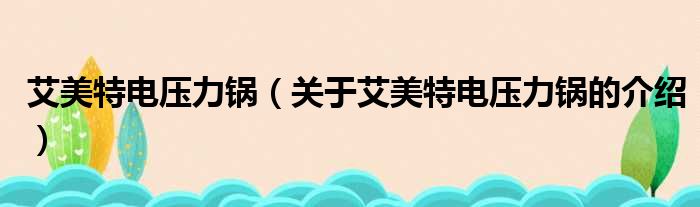 艾美特电压力锅（关于艾美特电压力锅的介绍）