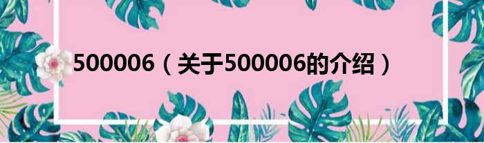 500006（关于500006的介绍）