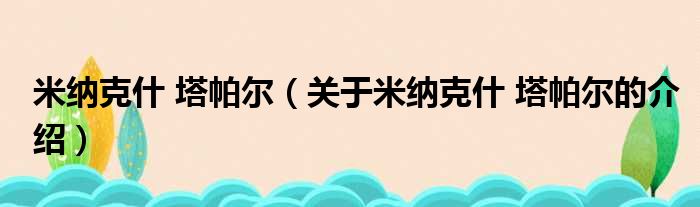 米纳克什 塔帕尔（关于米纳克什 塔帕尔的介绍）