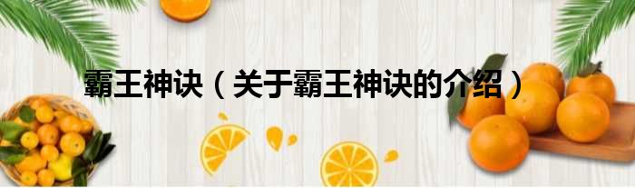 霸王神诀（关于霸王神诀的介绍）