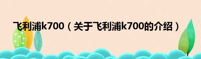 飞利浦k700（关于飞利浦k700的介绍）