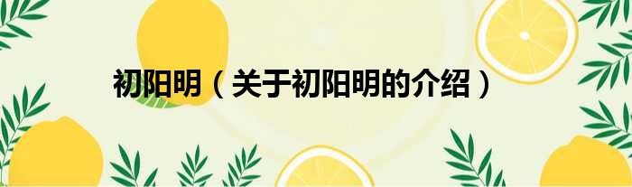 初阳明（关于初阳明的介绍）