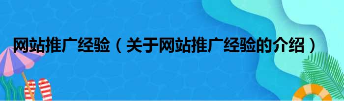 网站推广经验（关于网站推广经验的介绍）
