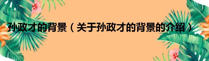 孙政才的背景（关于孙政才的背景的介绍）