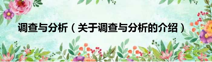 调查与分析（关于调查与分析的介绍）