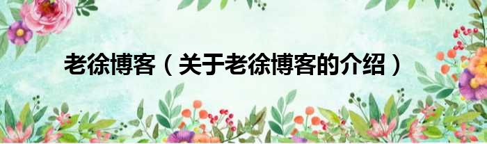 老徐博客（关于老徐博客的介绍）