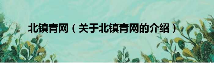 北镇青网（关于北镇青网的介绍）