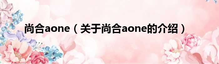 尚合aone（关于尚合aone的介绍）