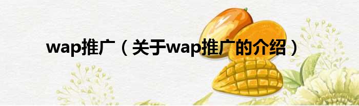 wap推广（关于wap推广的介绍）