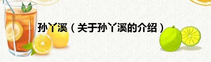 孙丫溪（关于孙丫溪的介绍）