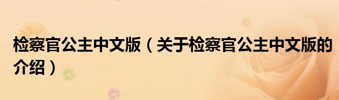 检察官公主中文版（关于检察官公主中文版的介绍）