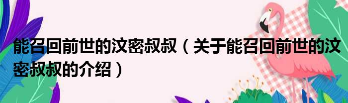 能召回前世的汶密叔叔（关于能召回前世的汶密叔叔的介绍）