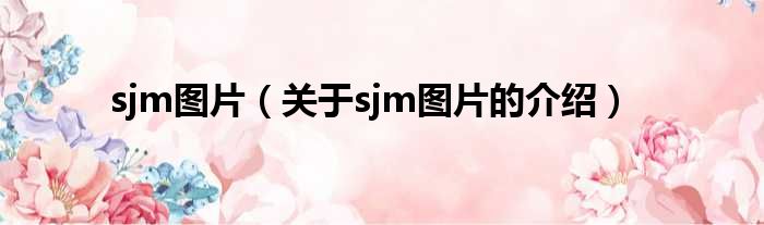 sjm图片（关于sjm图片的介绍）