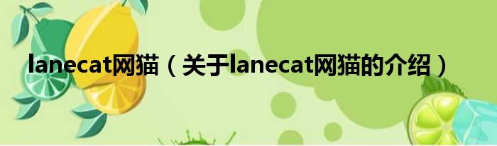 lanecat网猫（关于lanecat网猫的介绍）