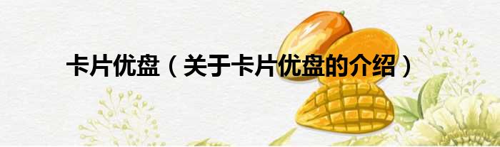 卡片优盘（关于卡片优盘的介绍）