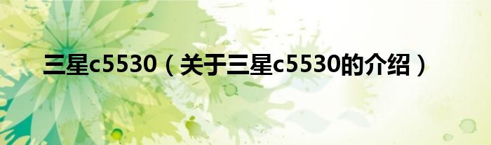 三星c5530（关于三星c5530的介绍）