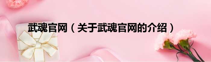 武魂官网（关于武魂官网的介绍）