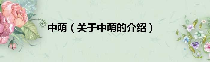 中萌（关于中萌的介绍）