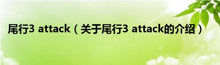 尾行3 attack（关于尾行3 attack的介绍）