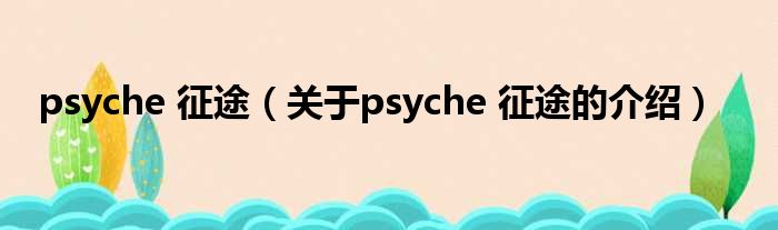 psyche 征途（关于psyche 征途的介绍）