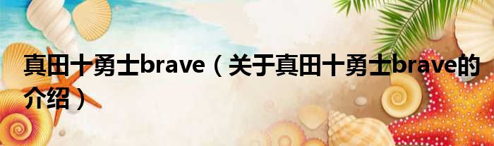 真田十勇士brave（关于真田十勇士brave的介绍）