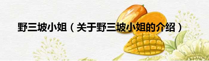 野三坡小姐（关于野三坡小姐的介绍）