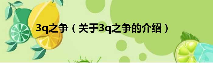 3q之争（关于3q之争的介绍）