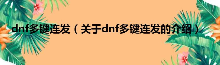 dnf多键连发（关于dnf多键连发的介绍）