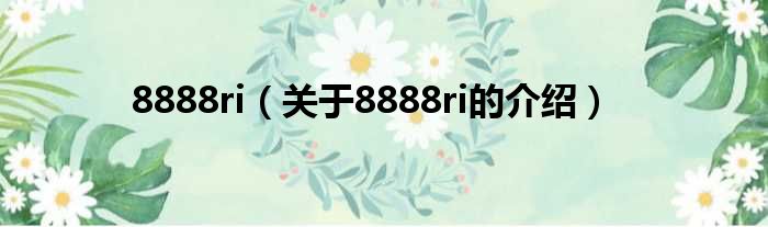 8888ri（关于8888ri的介绍）