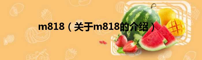 m818（关于m818的介绍）