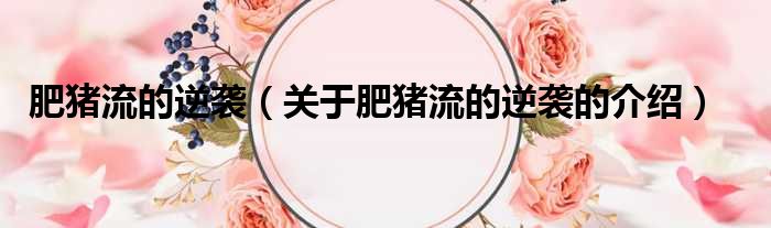 肥猪流的逆袭（关于肥猪流的逆袭的介绍）