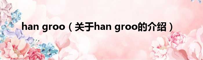 han groo（关于han groo的介绍）