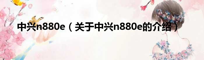 中兴n880e（关于中兴n880e的介绍）
