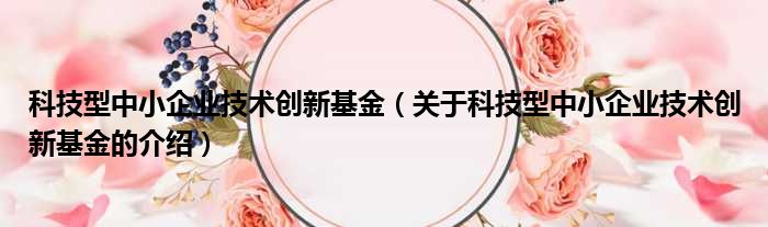 科技型中小企业技术创新基金（关于科技型中小企业技术创新基金的介绍）