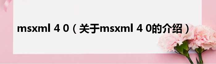 msxml 4 0（关于msxml 4 0的介绍）